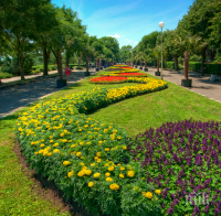 Вандали вилняха в Морската градина в Бургас