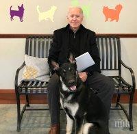 Властите в Уисконсин потвърдиха победата на Джо Байдън в щата