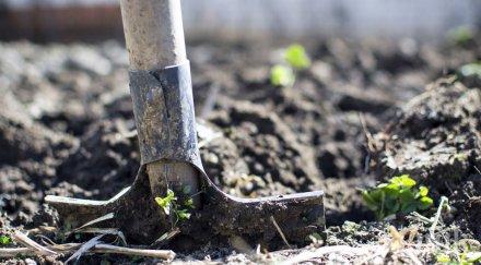 предадоха съд варненеца уби жена зарови двора