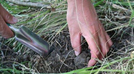 вмро внесе парламента законопроект трюфелите