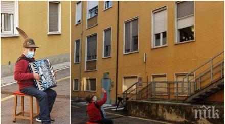 тъжен почина съпругата стефано направи серенада болницата