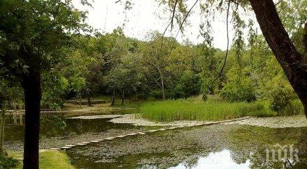 изнесоха тона боклуци лесопарка липник русе