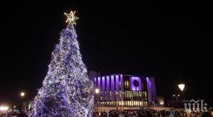 палят коледната елха софия без тържество