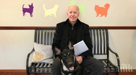 властите уисконсин потвърдиха победата джо байдън щата