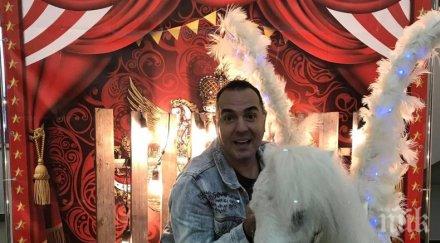 апартамента драго драганов светна неповторима коледна елха вижте снимки