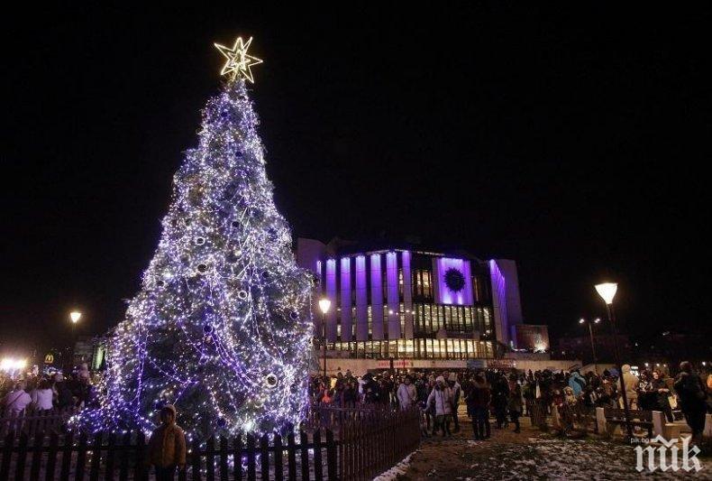 Духът на Коледа завладя София и Пловдив – грейнаха елхите