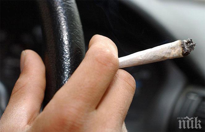 Откриха 700 грама марихуана в дома на дрогиран шофьор