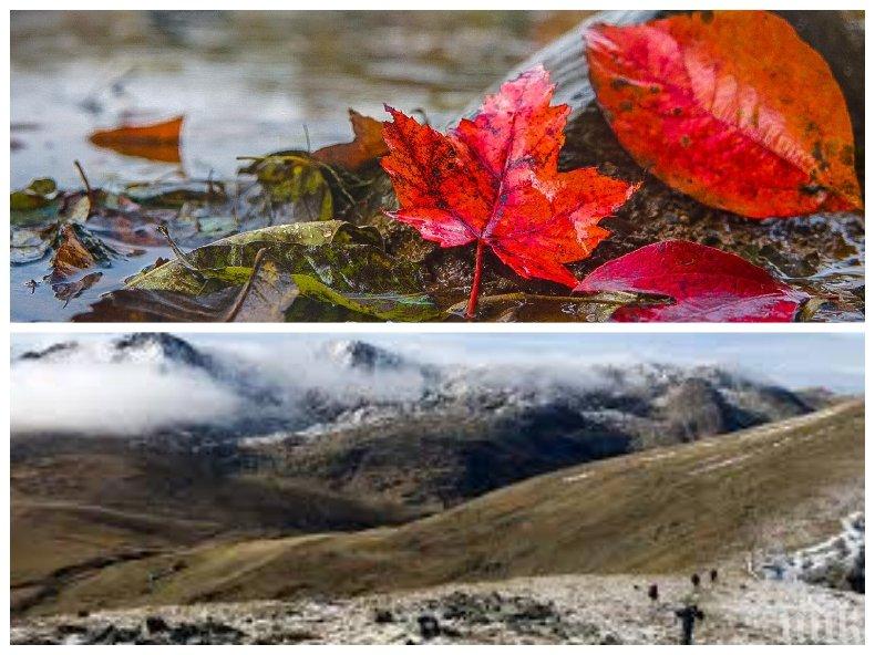 ВРЕМЕТО ЗАСТУДЯВА! Новата седмица идва с дъжд и падащи температури (КАРТА)