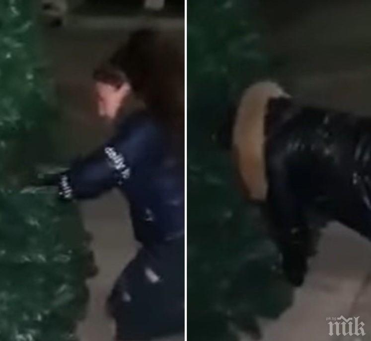ПРОСТОТИЯ: В Роман сложиха коледна украса, момичета се гаврят с нея (ВИДЕО)
