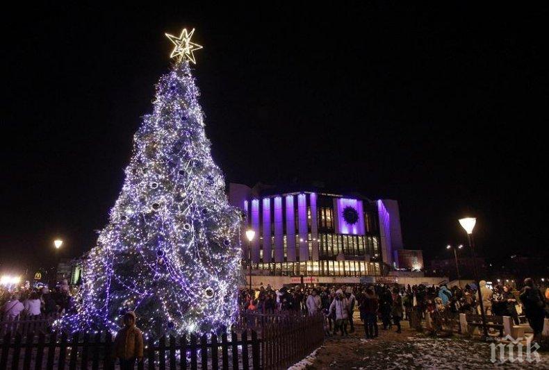 Палят коледната елха в София без тържество