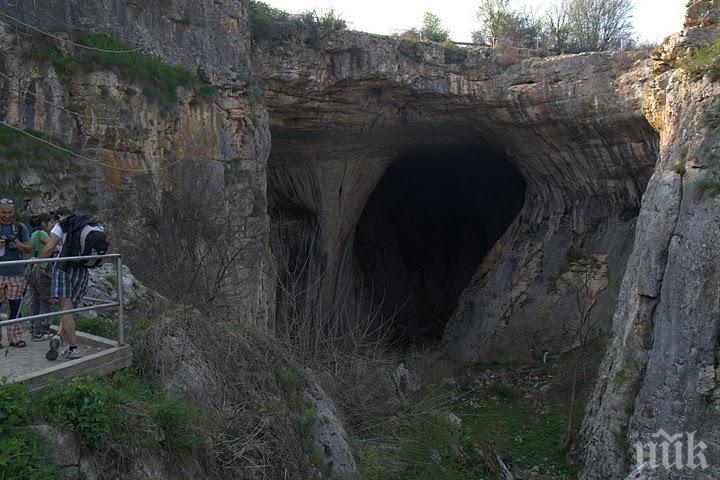 ДОКАЗАНО: Пещерните хора са се дрогирали
