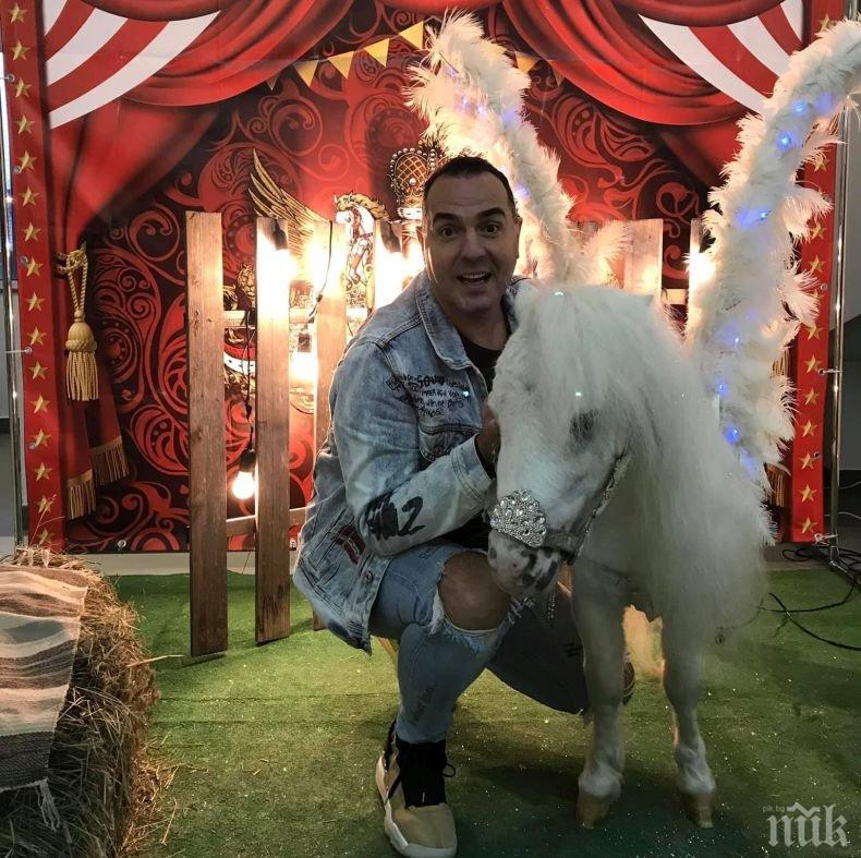 В апартамента на Драго Драганов светна неповторима Коледна елха - вижте защо... (СНИМКИ)