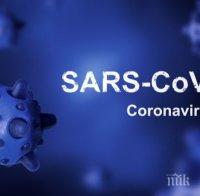 Над 49 000 новозаразени с коронавируса за денонощие в Бразилия