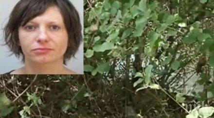 задържаха издирван убийството жената радомир