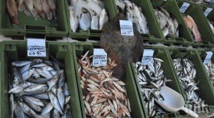 софия домакин рибен пазар прясна риба морски дарове