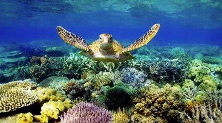 доклад шедьоврите природата заплашени климатичните промени