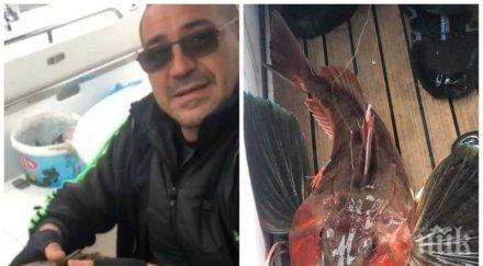 рибар улови рядка морска лястовица пусна морето