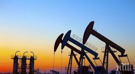 фич петролът брент поевтинее барел въпреки позитивните новини covid ваксини