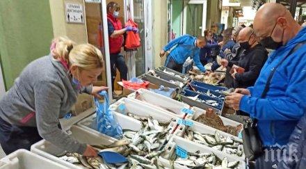 бургазлии купуват сладководния шаран никулден