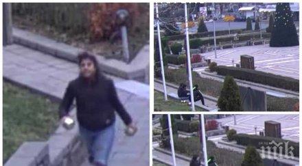 апаши набраха играчки градската елха приморско