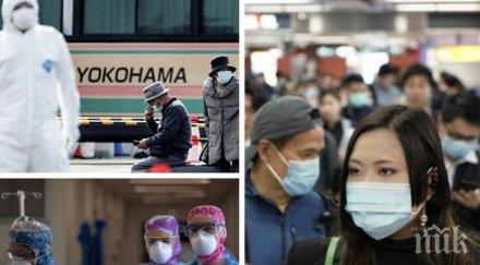 изследване япония откриха антитела процента заразените covid