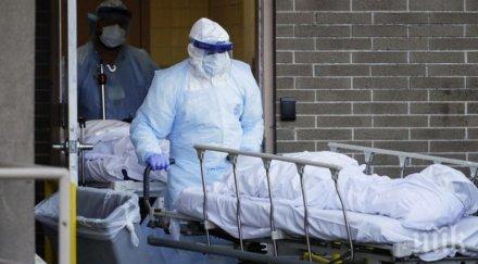 733 смъртни случая пациенти коронавирус денонощие сащ