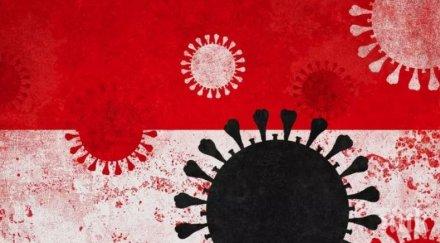 австрийските власти отварят училища магазини музеи