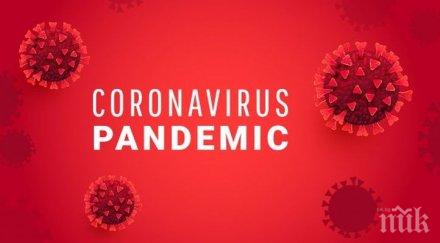 новозаразени коронавируса китай денонощие