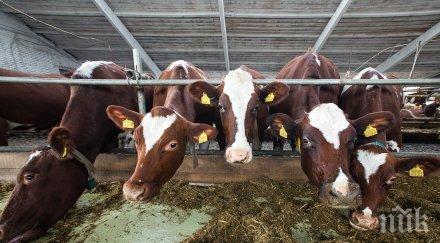 2000 животновъди прибраха млн лева помощи