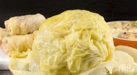 невероятните свойства зелето кисело безсъние прясно нерви