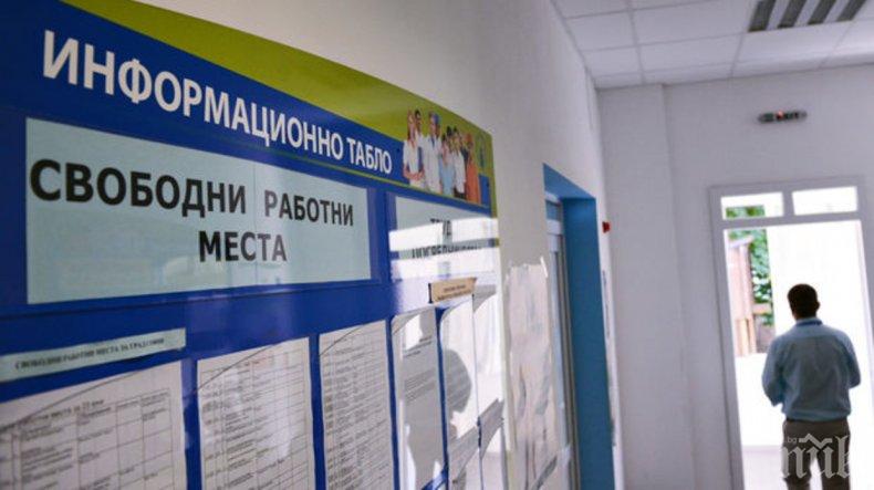 Преброиха по шестима безработни в битка за едно място