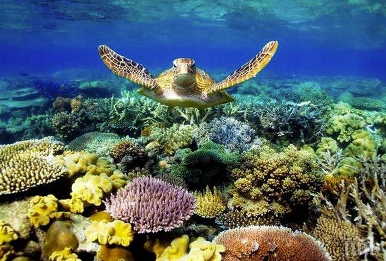 Доклад: Шедьоврите на природата са заплашени от климатичните промени