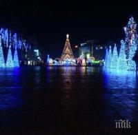 Запалват светлините на коледната елха във Варна