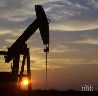 Саудитска Арабия готова на преговори за доставка на нефт и природен газ за България
