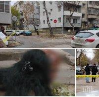 КЪРВАВАТА ДРАМА: Проговори приятелката на една от жертвите във Варна КЪРВАВАТА ДРАМА: Проговори приятелката на една от жертвите във Варна