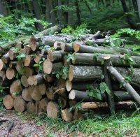 Даряват на хора в нужда конфискувани дърва за огрев