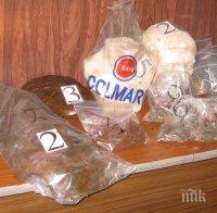 Шофьор на камион е задържан за незаконно изнасяне на културни ценности през ГКПП Дунав мост - Видин