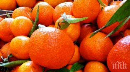 бабх задържа близо 305 тона храни трети страни ноември 100 тях мандарини