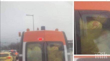 снимка линейка разбуни духовете нета каква истината