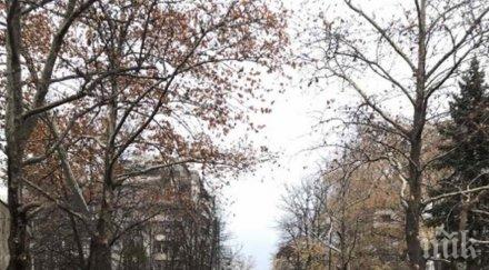 възстановяват движението улица николай коперник софия