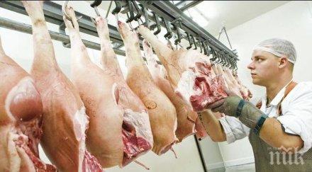 цигани задигнаха 250 месо оказа развалено снимки