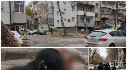 кървавата драма проговори приятелката една жертвите варна