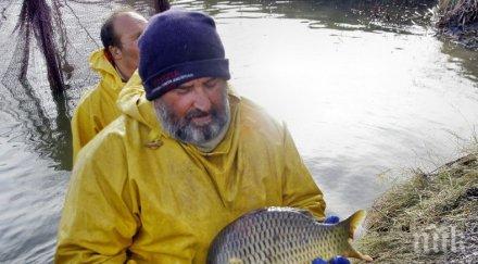 слаба година производителите риба ямболско