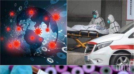 първо пик 3980 новозаразените коронавирус 3412 излекуваните 146 загубиха битката заразата