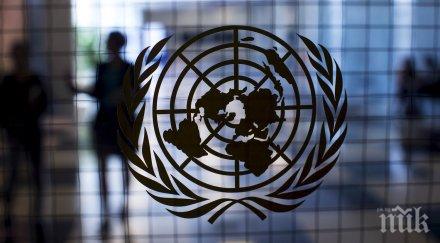 оон обяви декември международен ден готовност епидемия