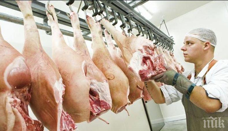 Цигани задигнаха 250 кг месо, то се оказа развалено (СНИМКИ)