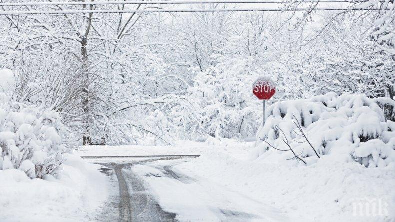 Жълт код за валежи и ветрове
