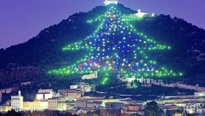 В Италия запалиха светлините на най-голямата ела в света