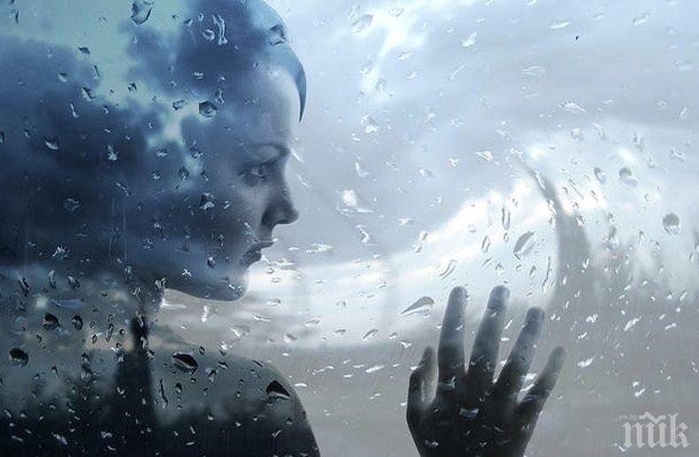 Учени с обяснение за това, защо ни се спи, когато вали дъжд