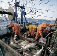 Норвегия забраниява риболова на ЕС и Великобритания в нейни води